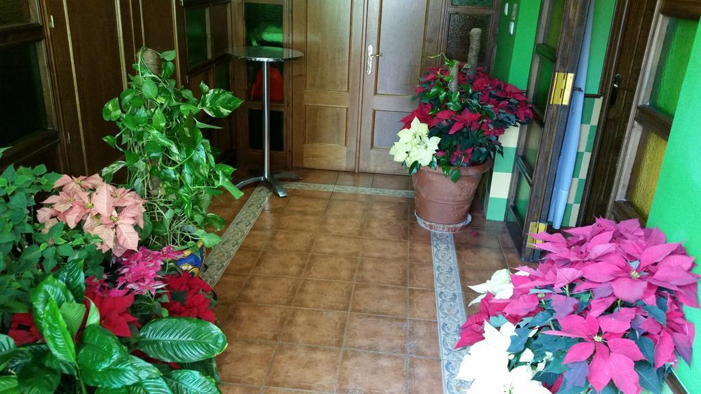Hidalgo Hotel Алкаудете Екстериор снимка